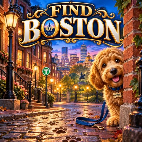 Find Boston banner artwork